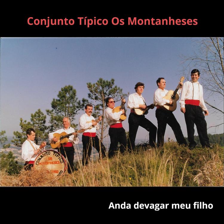 Conjunto Típico Os Montanheses's avatar image