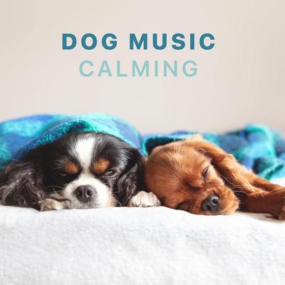 Dog Music - Calming Songs for Dogs and Puppies's cover
