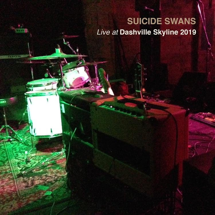 Suicide Swans's avatar image