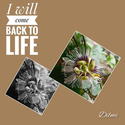 I will come back to life's cover