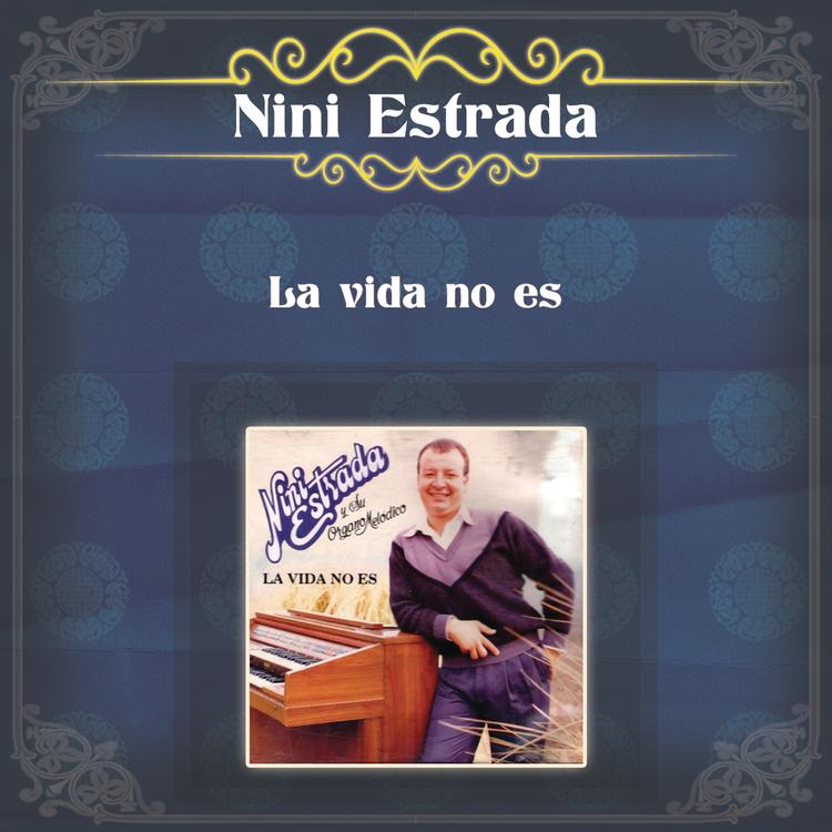 Nini Estrada's avatar image