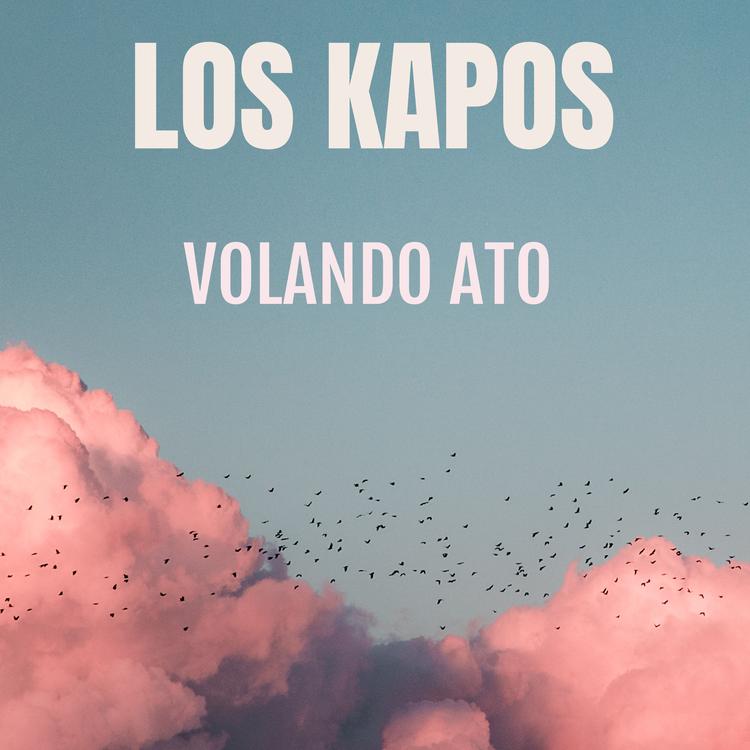 Los Kapos Interncional's avatar image