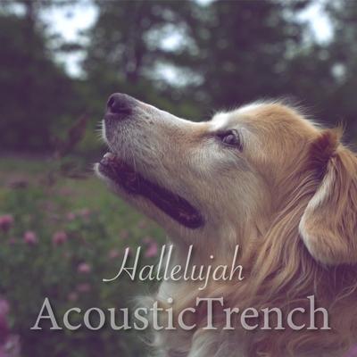 Hallelujah's cover