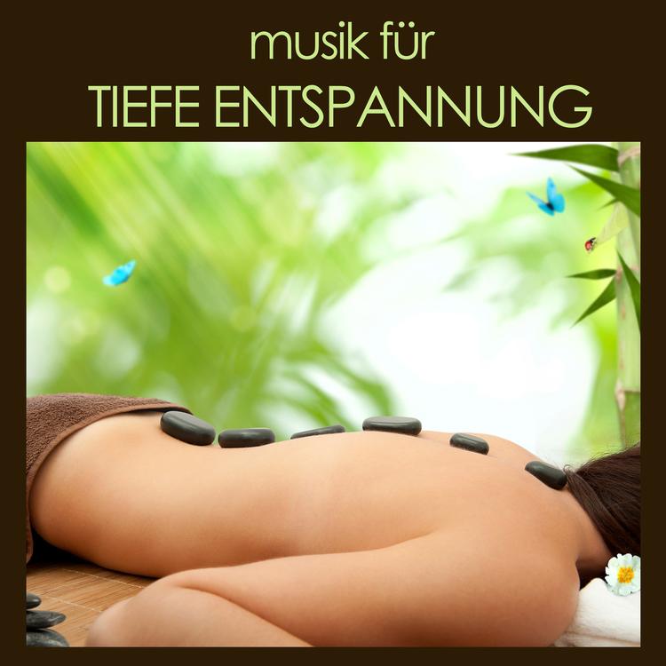 Meister der Entspannung und Meditation's avatar image