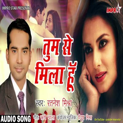 Tumse Mila Hu (Hindi Song)'s cover