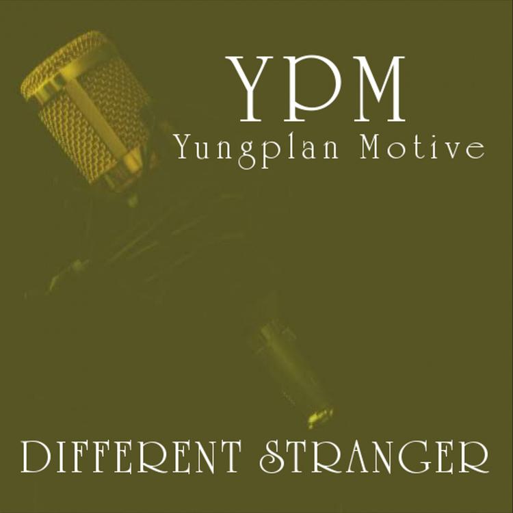 YPM's avatar image