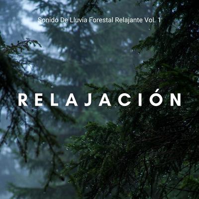 Relajación: Sonido De Lluvia Forestal Relajante Vol. 1's cover