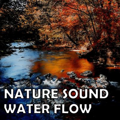 Nature Sound: Water Flow's cover