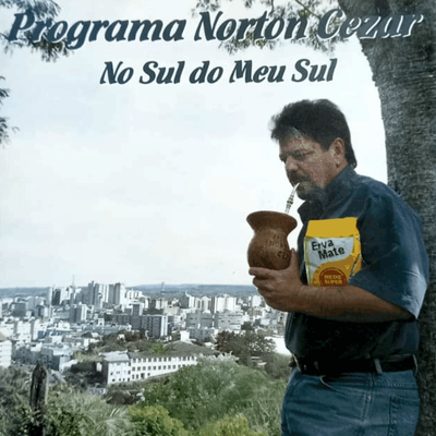 No Sul do Meu Sul By Ênio Medeiros's cover