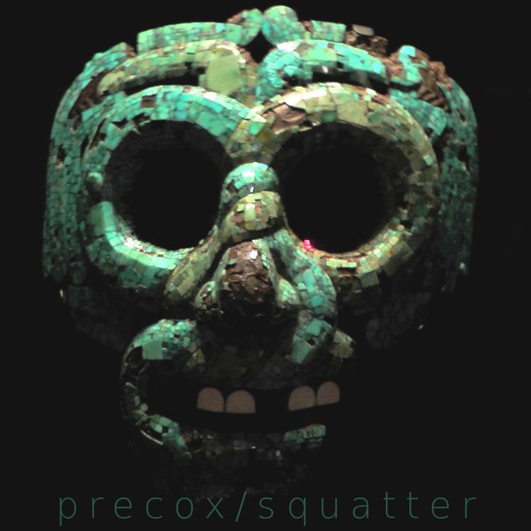 Precox's avatar image