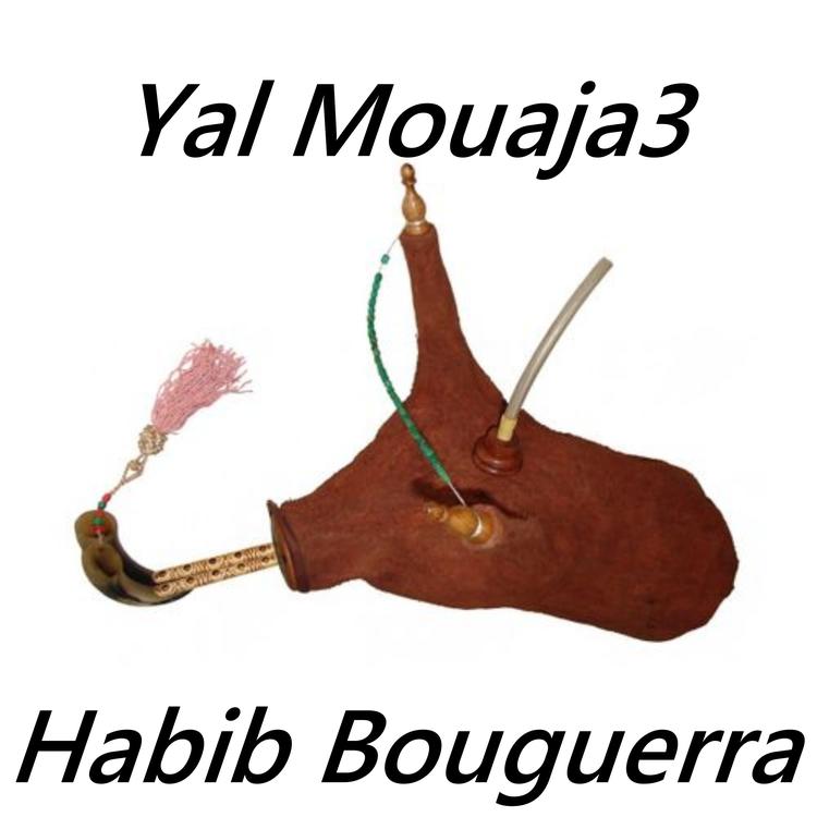 Habib Bouguerra's avatar image