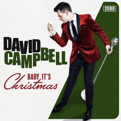 It's the Most Wonderful Time of the Year By David Campbell's cover