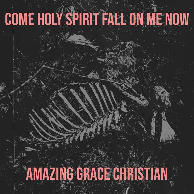 Amazing Grace Christian's avatar image