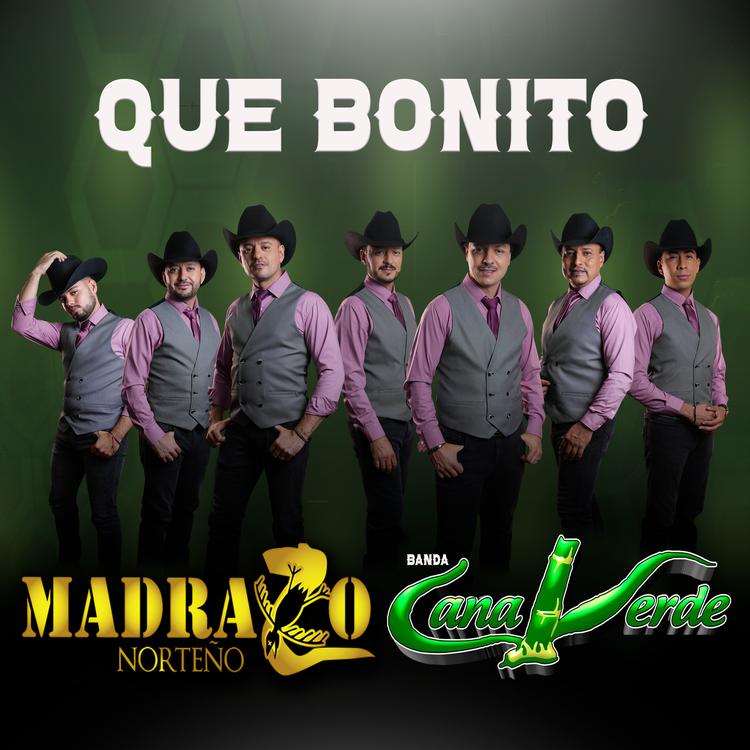 Madrazo Norteño's avatar image