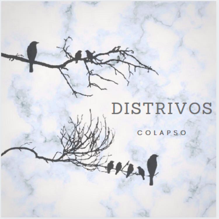 Distrivos's avatar image