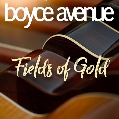 Fields of Gold By Boyce Avenue's cover