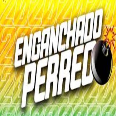 Perreo A Fuego's cover