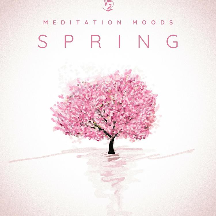 Meditation Moods's avatar image