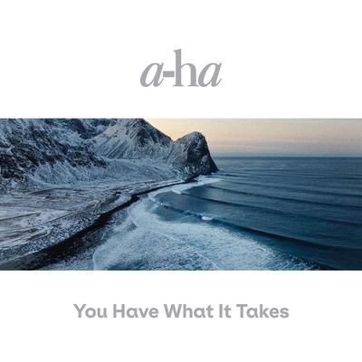 You Have What It Takes By a-ha's cover