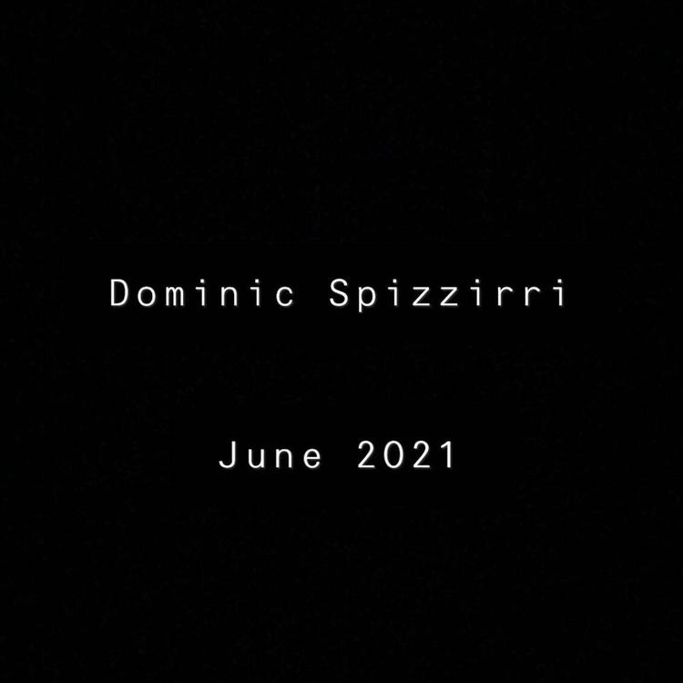 Dominic Spizzirri's avatar image