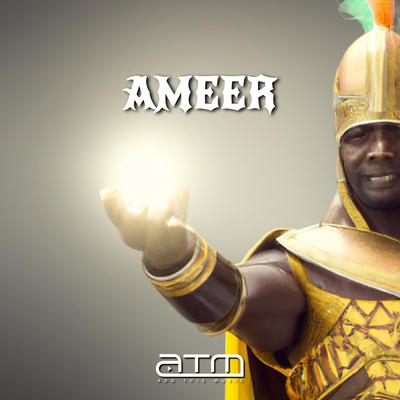 Ameer By Meer Kegs's cover