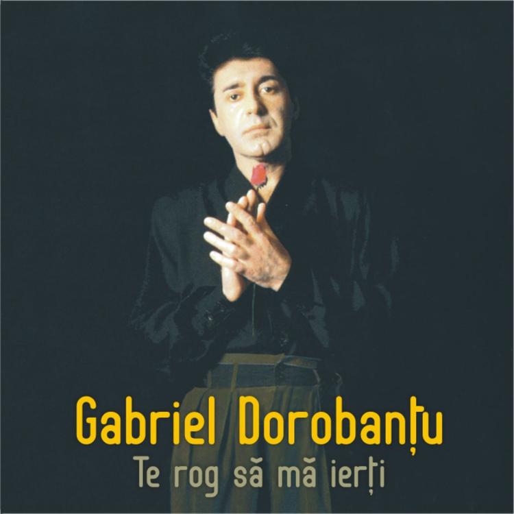 Gabriel Dorobanțu's avatar image