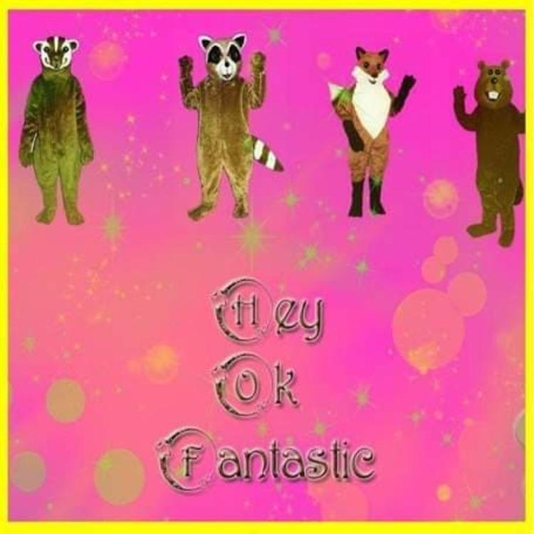 Hey OK Fantastic's avatar image