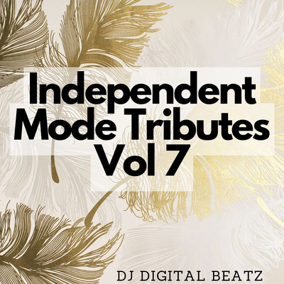 DJ Digital Beatz's cover