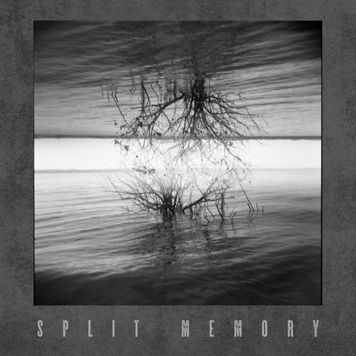 Black Shore By Split Memory, Precenphix, Gaze Into The Void's cover