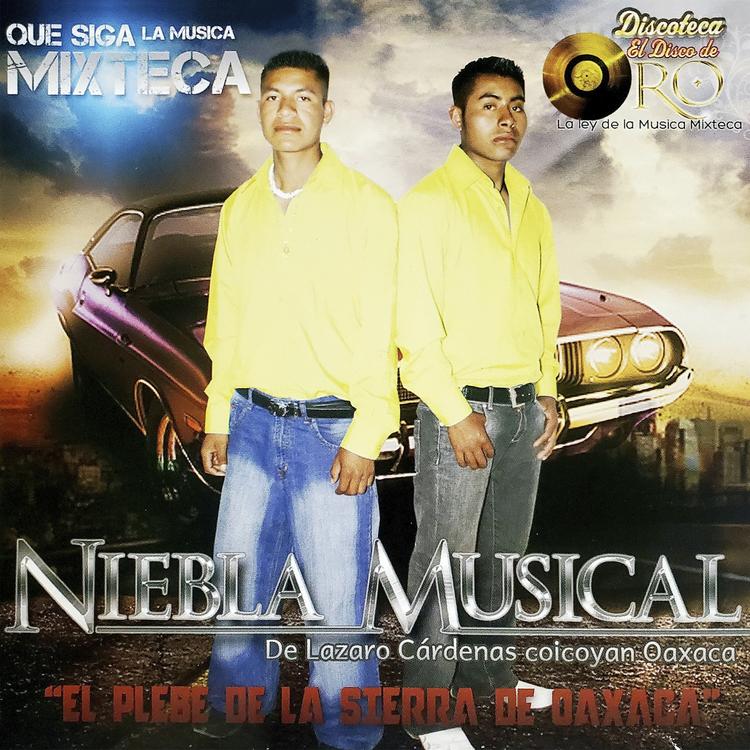 Niebla Musical's avatar image