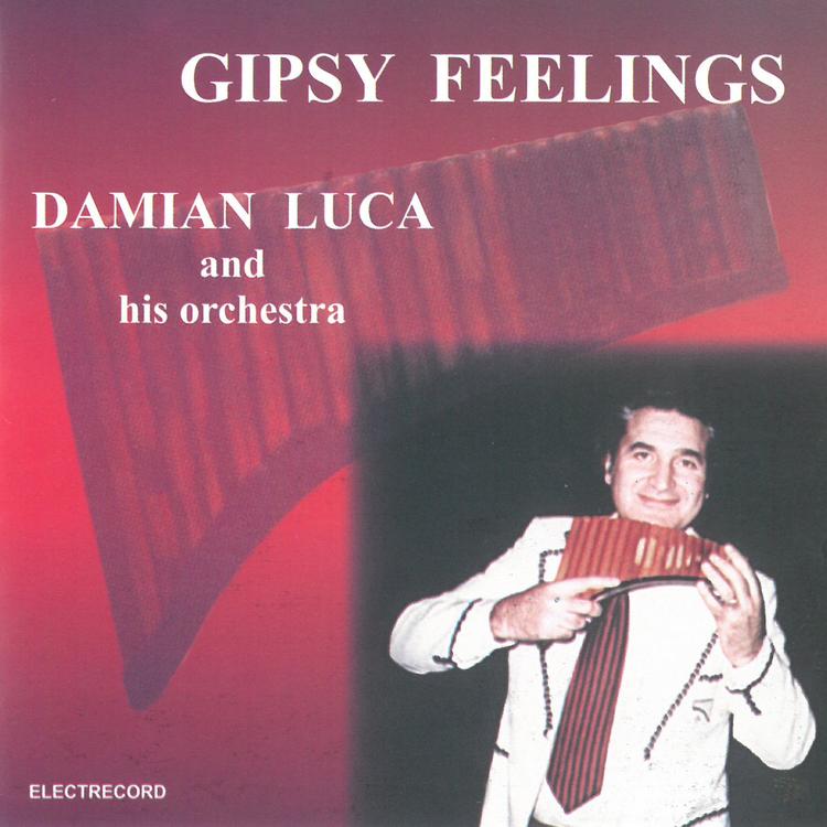 Damian Luca and his orchestra's avatar image