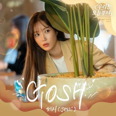 Gosh By Jessi's cover