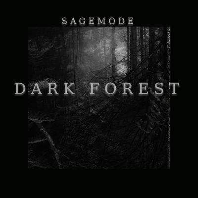 Dark Forest (Original Mix)'s cover