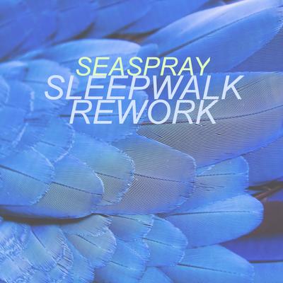 Sleepwalk Rework By Seaspray's cover