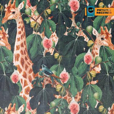 Giraffes Pond By Soul Jungle, Patiotic Records's cover