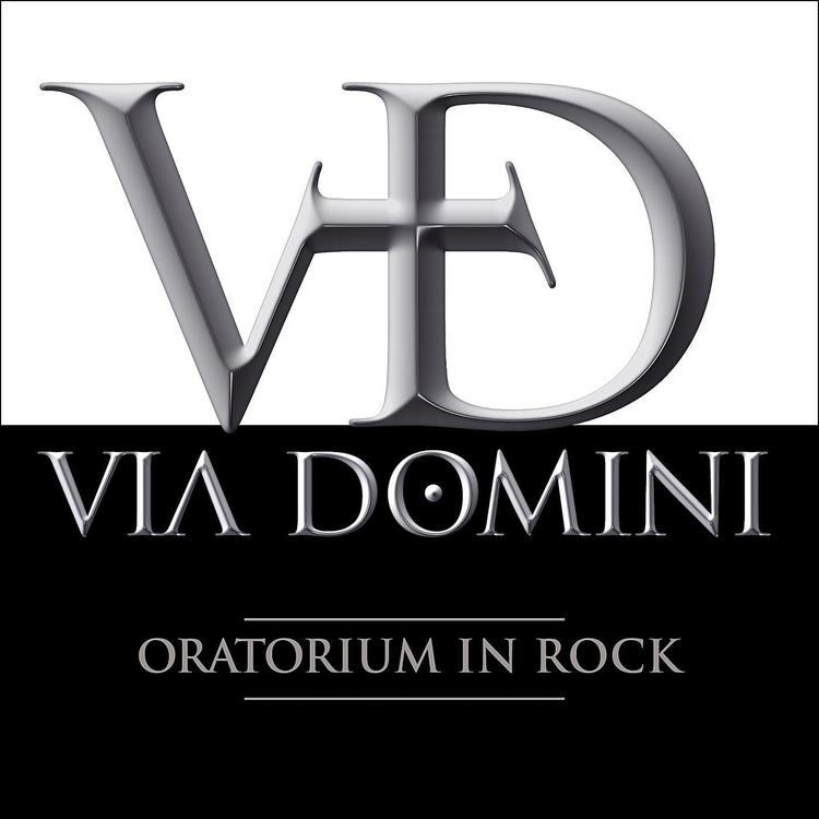 VIA DOMINI's avatar image