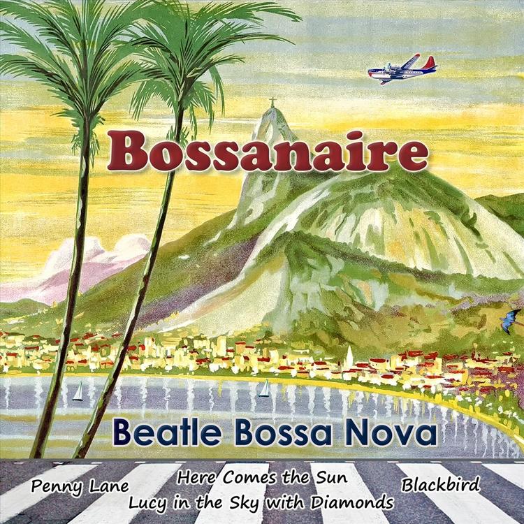 Bossanaire's avatar image