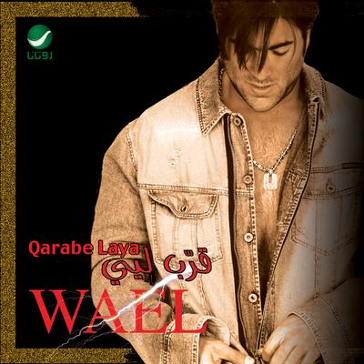 Qalbe Meshtaq's cover