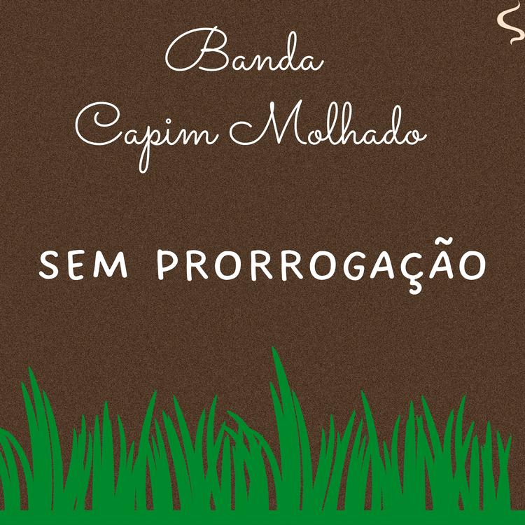 Banda Capim Molhado's avatar image