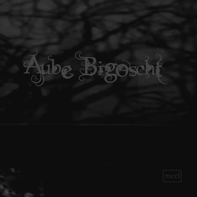 Aube Bigoscht's avatar image