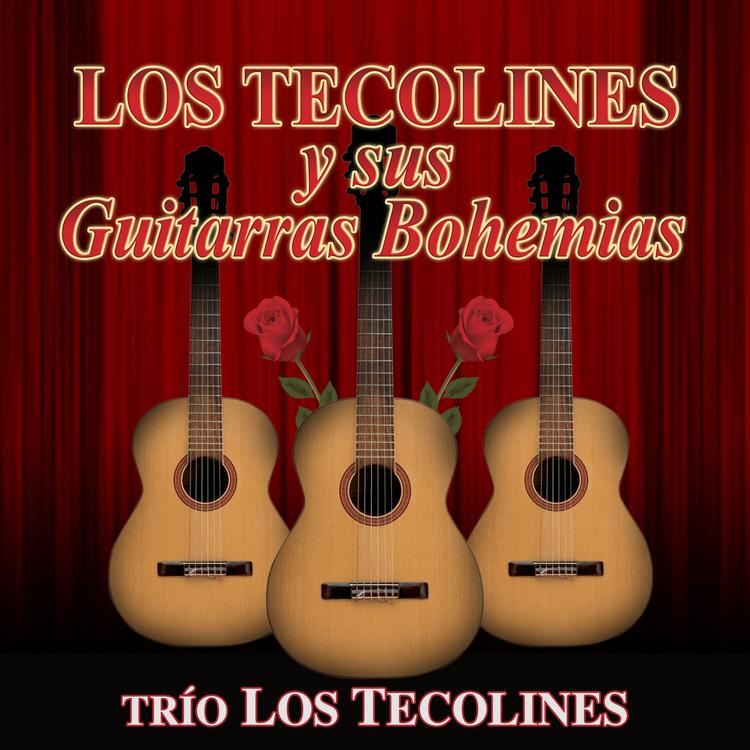 Trio Los Tecolines's avatar image