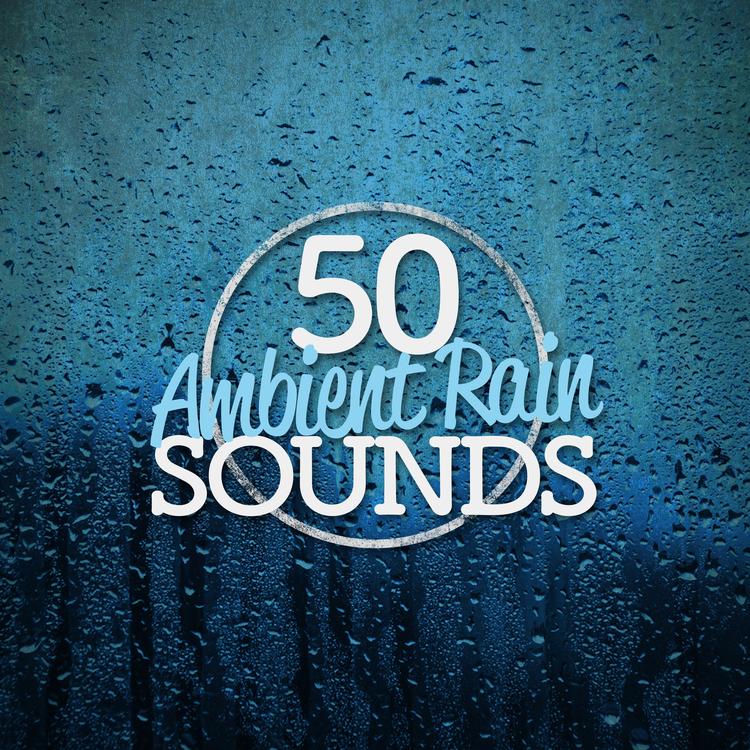 Ambient Rain's avatar image