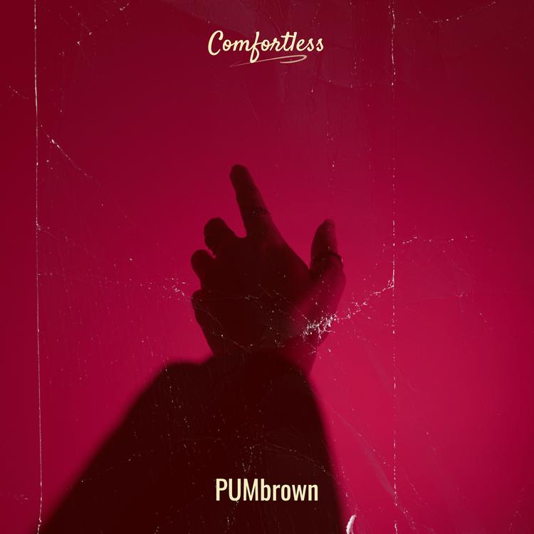 PUMbrown's avatar image