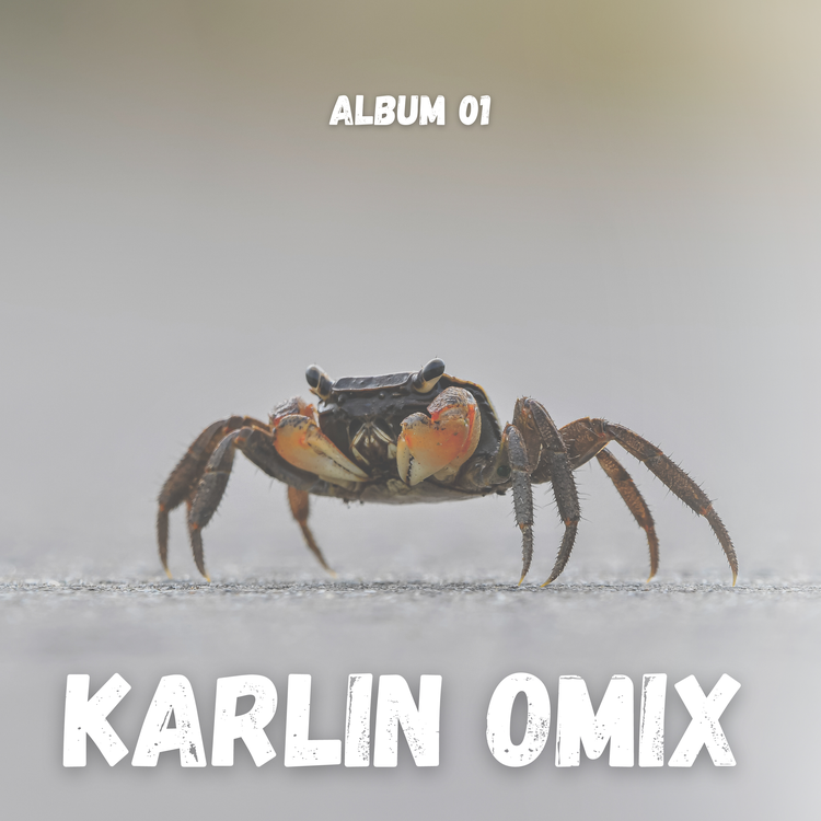 Karlin Omix's avatar image