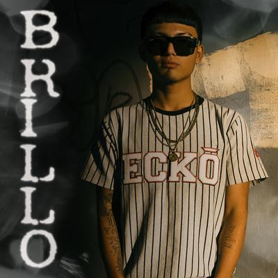 Brillo's cover