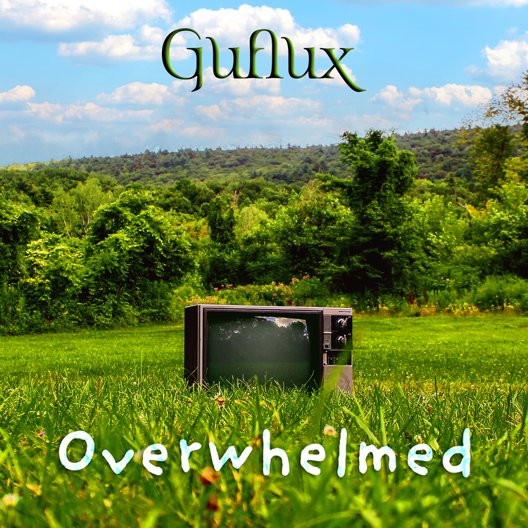 Guflux's avatar image