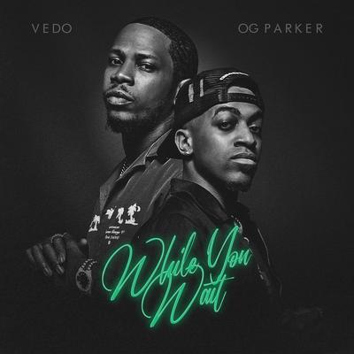 Can't Believe By Vedo, OG Parker's cover