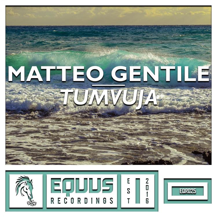 Matteo Gentile's avatar image