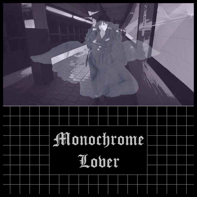 Monochrome Lover's avatar image