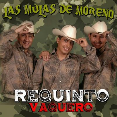 Requinto Vaquero's cover